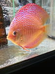 IMG 20170912 225318