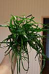 IMG 9286