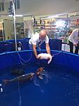 IMG 9571