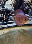 IMG 20170912 225347