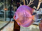 IMG 20170912 225246