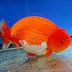 IMG 9580