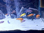 IMG 20170827 212308[1]