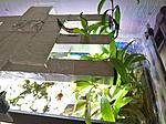 IMG 20170825 174818