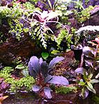 DSCN7749