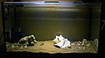 20170918 IMG 3298