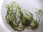 IMG 2