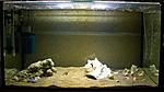 20170919 IMG 3359