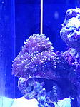IMG 20170920 170955
