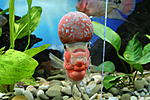 IMG 7557