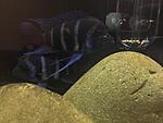 IMG 4326