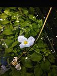 IMG 20170928 111930