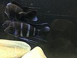 IMG 4476