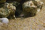 20170919 IMG 3318