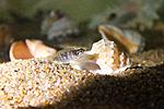 20170920 IMG 3387