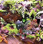 DSCN7741