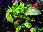 DSCF5812