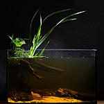 ����������