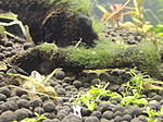 DSCF4421