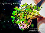 DSCF5845