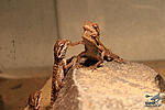 IMG 7697