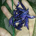 IMG 20170928 082237