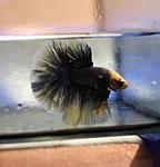 IMG 2bdd12810a0c434697bdb71d3aa3e9e5 V