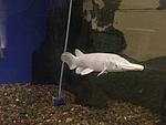 IMG 2976
