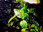 DSCF5806