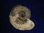  35