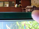 DSC02287