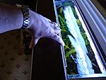 DSC02292