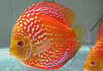 IMG 4753