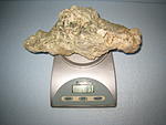 IMG 6783