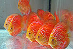 IMG 4829