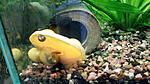 IMG 20171116 170301