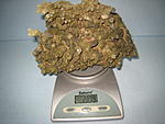IMG 6782