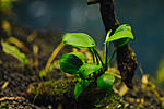 IMG 7175