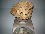 IMG 6781