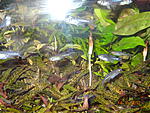 DSC07728