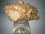 IMG 6786
