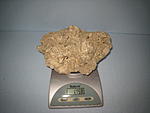 IMG 6779