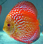 IMG 4774
