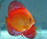 IMG 4772