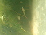 IMG 20171112 164715