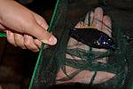 image 0 02 05 9d0f858a3e2e86970fcbcd204ea95eb707f6a397e52e756279e90371340ddd5a V
