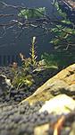 IMG 2017 11 22 234540