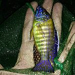 IMG 20170924 161741