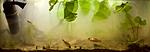 biotope aquarium