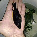 IMG 20170907 100931